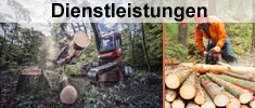 Dienstleistungen