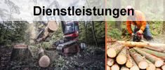 Dienstleistungen